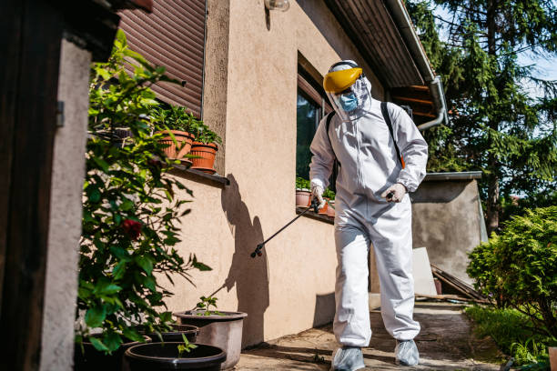 Best Pest Control for Homes  in Chester Heights, PA