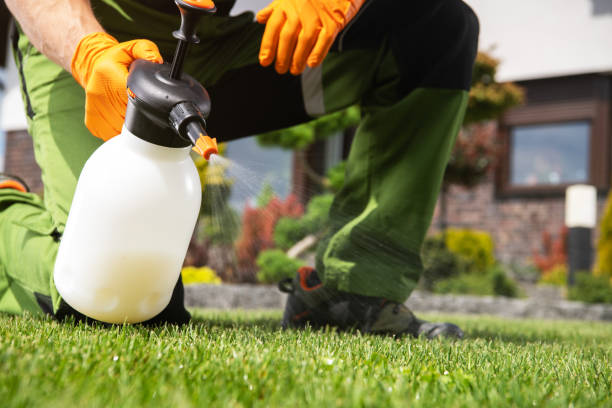 Trusted Chester Heights, PA Pest Control Experts