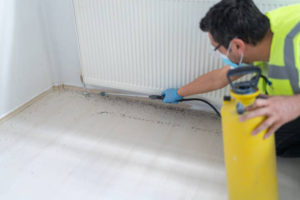 Best Rat Extermination Near Me  in Chester Heights, PA